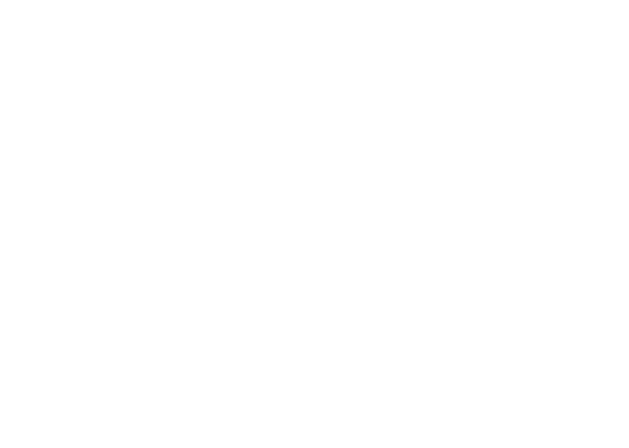 light logo